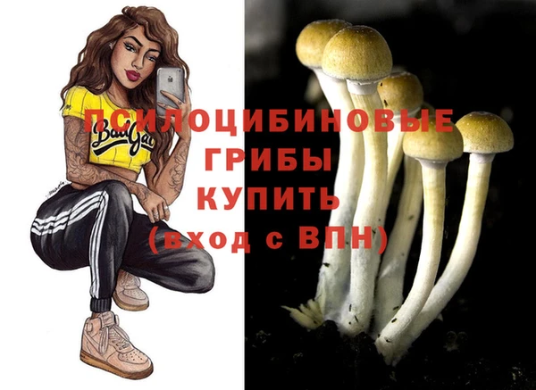 Альфа ПВП Михайловск
