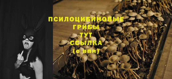 mdma Медногорск