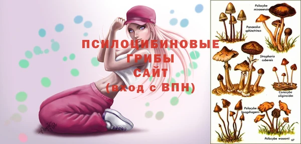 mdma Медногорск