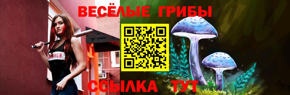 Тайшет  Псилоцибиновые грибы ЛСД  Вход с VPN 